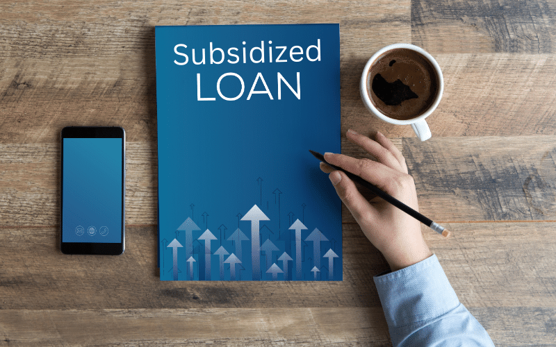 An image illustrating the concept of subsidized loan with a government logo in the background.